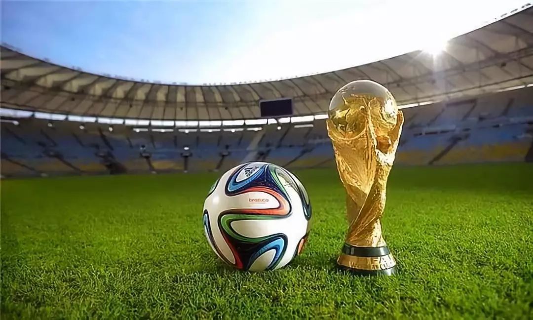 记者：王钰栋身体疲劳已返杭，不参加熊猫杯；多人也有伤病（记者：王钰栋因疲劳已回杭，缺席熊猫杯，多名球员同样带伤）